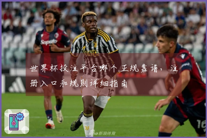 世界杯投注平台哪个正规靠谱，注册入口和规则详细指南