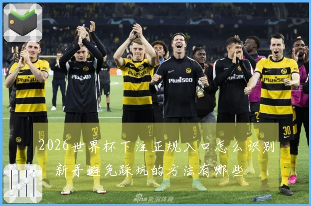 2026世界杯下注正规入口怎么识别，新手避免踩坑的方法有哪些