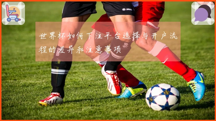 世界杯如何下注平台选择与开户流程的差异和注意事项