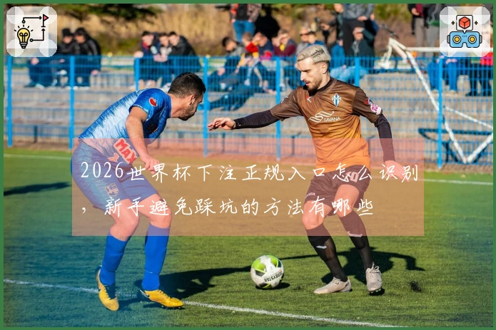 2026世界杯下注正规入口怎么识别，新手避免踩坑的方法有哪些